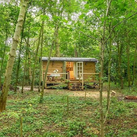 Woodland Retreat Shepherds Hut Βίλα Brundish Εξωτερικό φωτογραφία