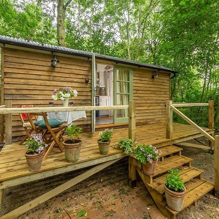 Woodland Retreat Shepherds Hut Βίλα Brundish Εξωτερικό φωτογραφία