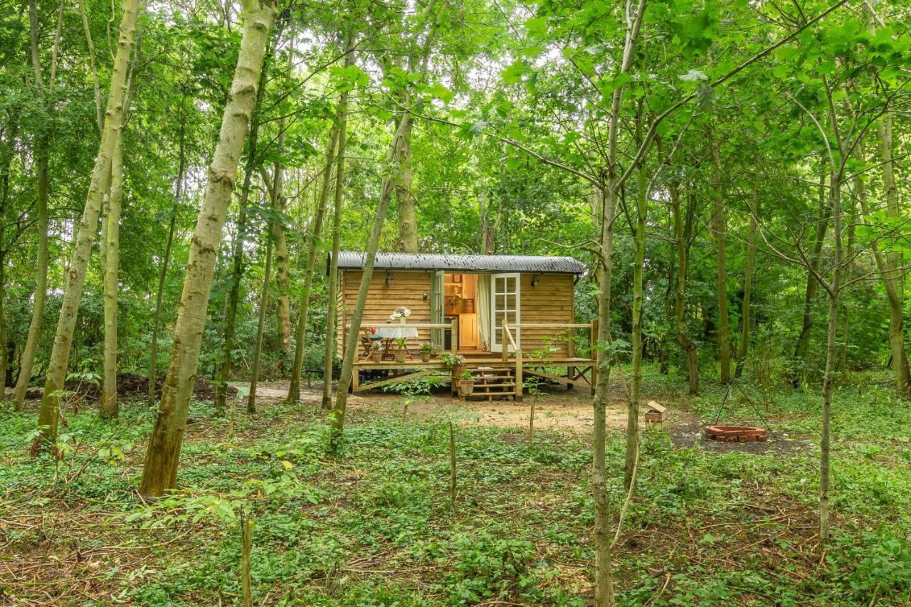 Woodland Retreat Shepherds Hut Βίλα Brundish Εξωτερικό φωτογραφία